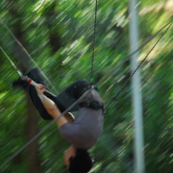 Trapeze Pro