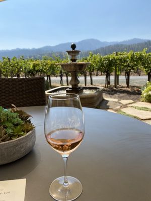 Benessere Vineyards by null