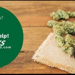 Express Marijuana Card
