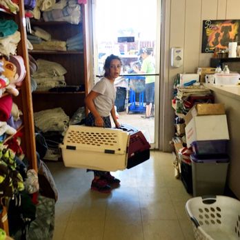 Valley Animal Haven - Jaden volunteering - Animal Shelters Near Me - Lemoore, California Valley Animal Haven - Jaden volunteering - Animal Shelters Near Me - Lemoore, California