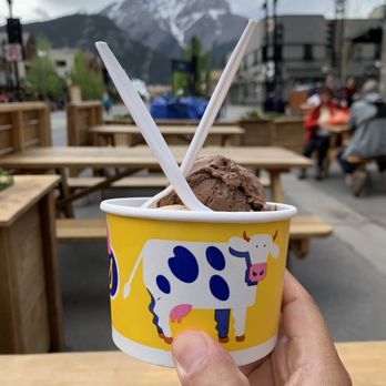 COWS - a hand holding a cup of ice cream - Ice Cream & Frozen Yogurt Near Me - Banff, Alberta