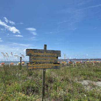 Folly Beach - Beaches Near Me Folly Beach - Beaches Near Me