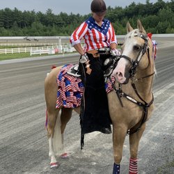 Plainridge Park Racecourse - This is the escort horse for today
