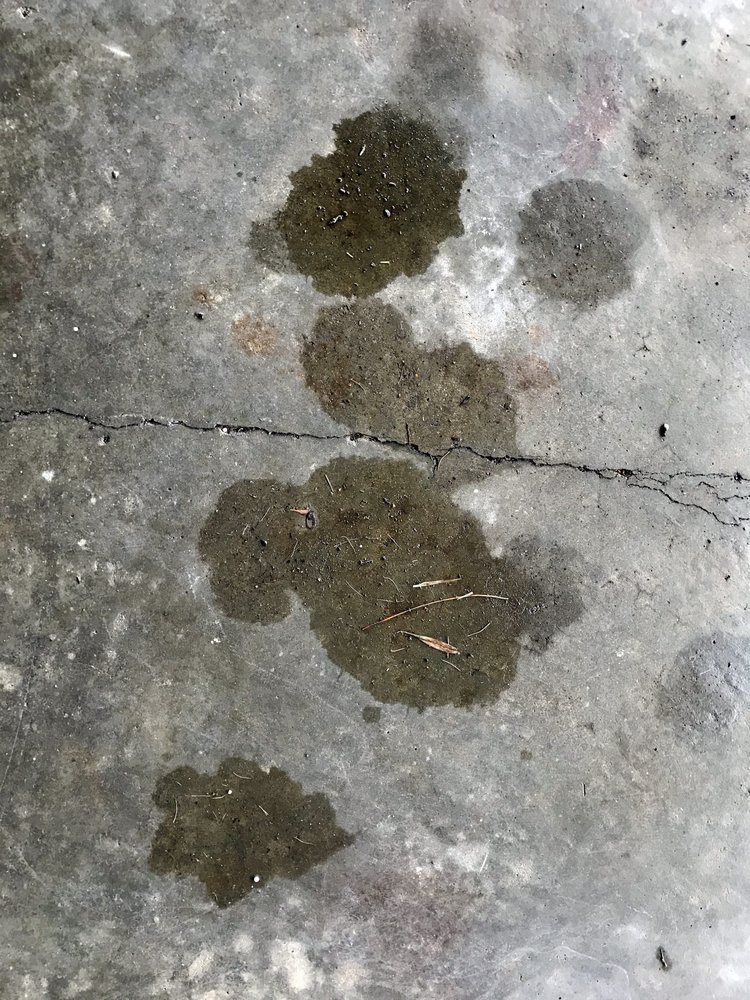 PADUCAH FORD LINCOLN MAZDA, INC. 3476 Park Ave, Paducah, KY Yelp