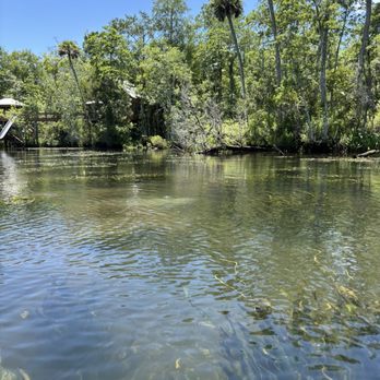 T n T Hideaway - Rafting/Kayaking Near Me - Crawfordville, Florida