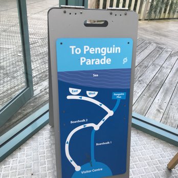 Phillip Island Penguin Parade - Getting excited! - Parks Near Me - Summerlands, VIC