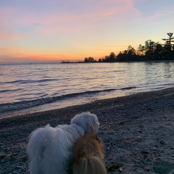 Lafontaine park - Sunset w puppies - Parks Near Me - Tiny, Ontario