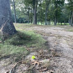 Pine Hills Country Club - Lol