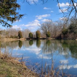 Dogwood Pond - Metro Park