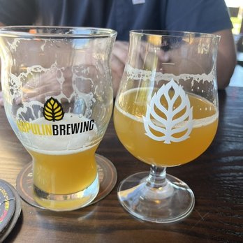 Lupulin Brewing - Breweries Near Me - Big Lake, Minnesota