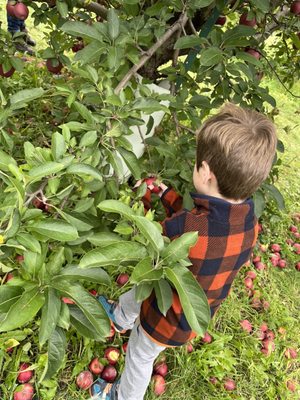 Keller’s Farmstand by null
