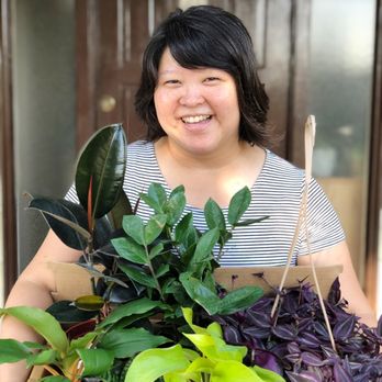 Broadway Terrace Nursery - An assortment of colorful, healthy indoor plants - Nurseries & Gardening Near Me - Oakland, California Broadway Terrace Nursery - An assortment of colorful, healthy indoor plants - Nurseries & Gardening Near Me - Oakland, California
