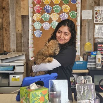 Emancipet - My 3 month old puppy and one of the awesome workers that he liked - Veterinarians Near Me - Pflugerville, Texas Emancipet - My 3 month old puppy and one of the awesome workers that he liked - Veterinarians Near Me - Pflugerville, Texas