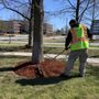 Photo of Garrick-Santo Landscape Co.