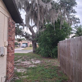 Just US & Trees - Tree Services Near Me - New Port Richey, Florida Just US & Trees - Tree Services Near Me - New Port Richey, Florida