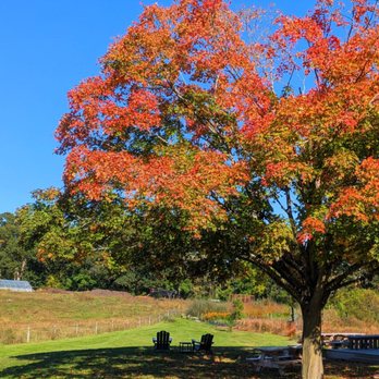 Codman Community Farms - Farmers Market Near Me - Lincoln, Massachusetts