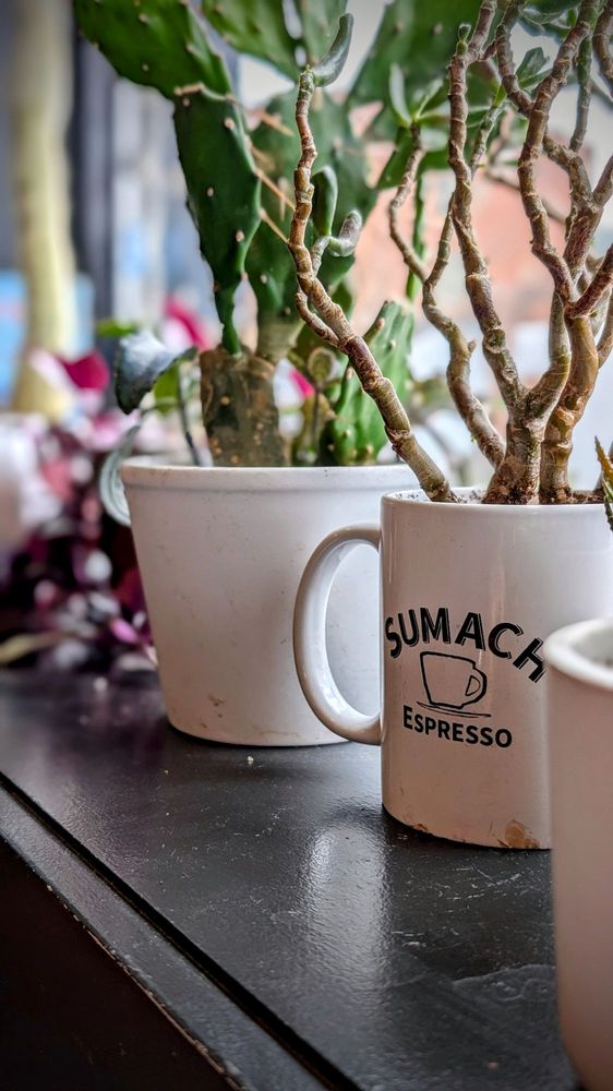 Sumach Espresso Image