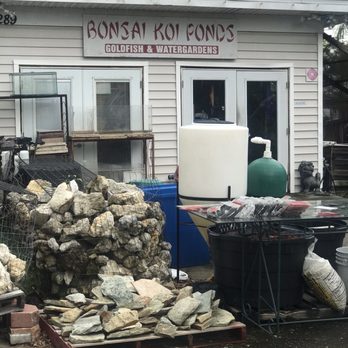 Bonsai Koi Ponds - Aquarium Services Near Me - Pinellas Park, Florida Bonsai Koi Ponds - Aquarium Services Near Me - Pinellas Park, Florida