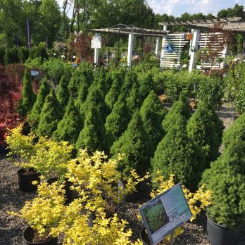 Marcellus Nursery - Nurseries & Gardening Near Me - Syracuse, New York Marcellus Nursery - Nurseries & Gardening Near Me - Syracuse, New York