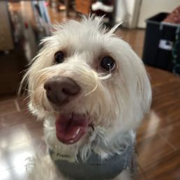 Happy Boy! Happy Boy!