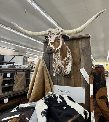 Southern Hospitality by null