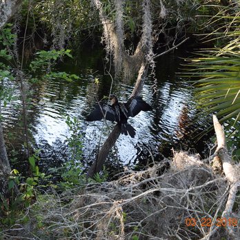 Down Home Properties - Nature - Vacation Rentals Near Me - Wildwood, Florida