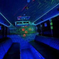 Luxury Bus - Bus