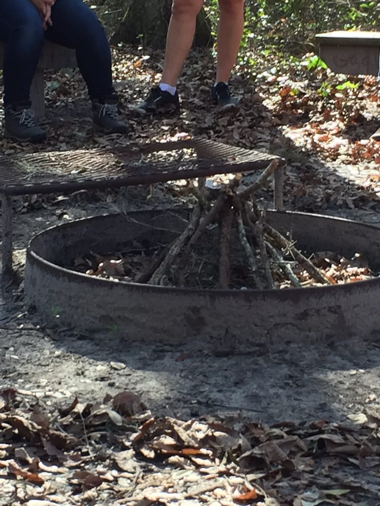 GIRL SCOUT CAMP WILDWOOD Updated September 2024 9583 County Road