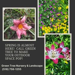 Green Tree Nursery & Landscape - Think Spring!!!