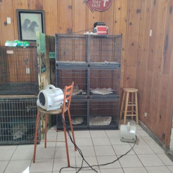 Puppy Paws Grooming - Pet Groomers Near Me - Taylor, Texas Puppy Paws Grooming - Pet Groomers Near Me - Taylor, Texas