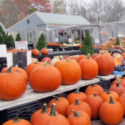Millbrook Farm in Concord gift card