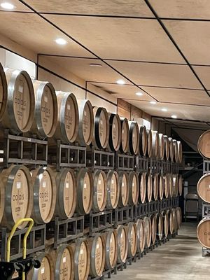 CALAIS Winery by null