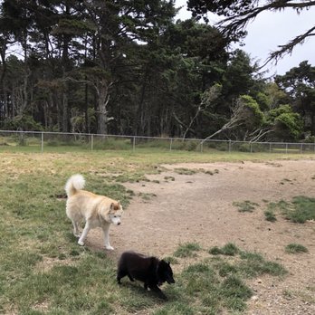 Bandon Dog Park - Dog Parks Near Me - Bandon, Oregon Bandon Dog Park - Dog Parks Near Me - Bandon, Oregon