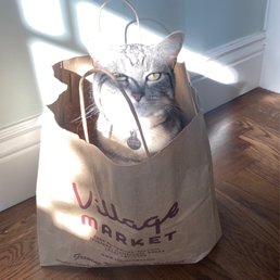 Gracie loves her cat treats and food from Village Market. Gracie loves her cat treats and food from Village Market.