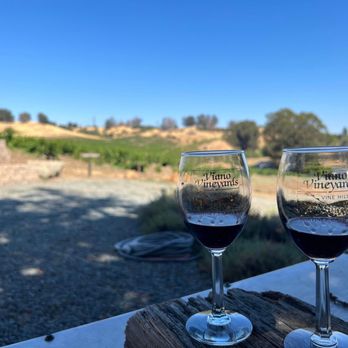 Viano Winery - The view of their vineyard - Wineries Near Me - Martinez, California Viano Winery - The view of their vineyard - Wineries Near Me - Martinez, California