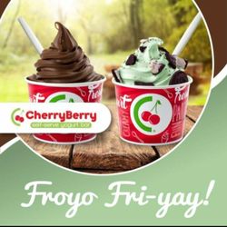 Cherry Berry in Bismarck gift card