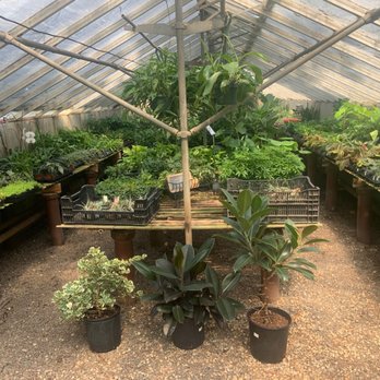 Bedford Greenhouses - Nurseries & Gardening Near Me - Augusta, Georgia Bedford Greenhouses - Nurseries & Gardening Near Me - Augusta, Georgia
