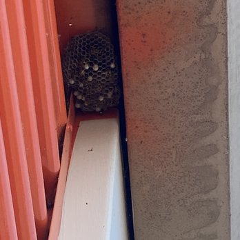 Public Storage - Bees flying in and out. - Self Storage Near Me - Enfield, Connecticut