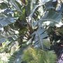 Photo of Blue Armor Pest Control