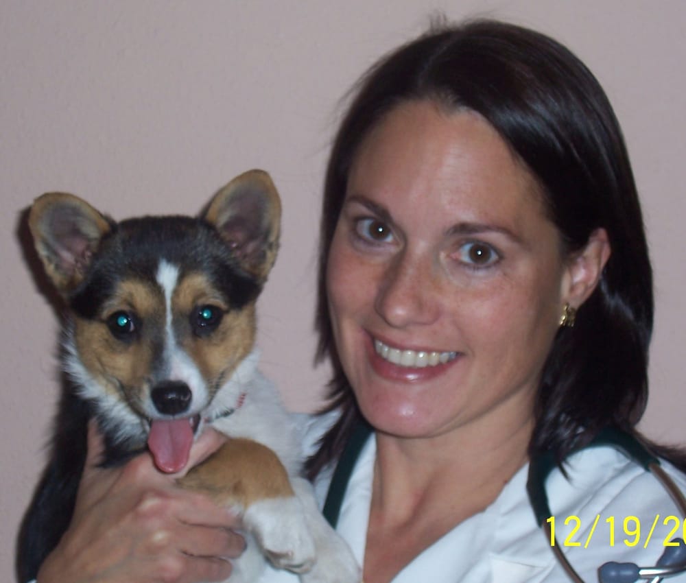 BOW WOW MEOW PET CLINIC Updated August 2024 28 E Main Ave, Fort