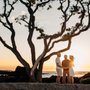 Photo of Affordable Hawaii Officiant