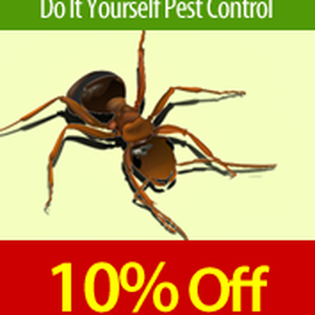 Bug Busters Do It Yourself Pest Control - Pest Control Near Me - Sarasota, Florida