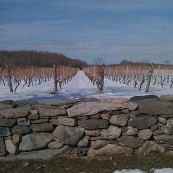 Sakonnet Vineyard - Winter at Sakonnet Vineyards - Wineries Near Me - Little Compton, Rhode Island Sakonnet Vineyard - Winter at Sakonnet Vineyards - Wineries Near Me - Little Compton, Rhode Island