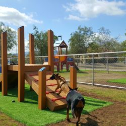 Rosetta Canyon Dog Park