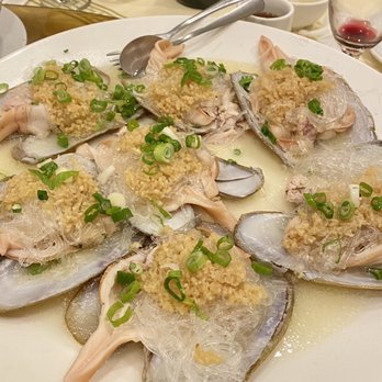 Golden Spring Restaurant - Baby geoduck - Seafood Near Me - Vancouver, British Columbia Golden Spring Restaurant - Baby geoduck - Seafood Near Me - Vancouver, British Columbia