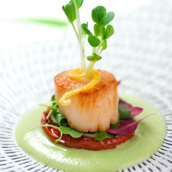 Contemporary Foods