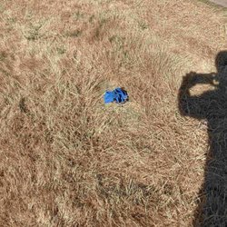 Skyview Memorial Lawn - We had to mark the plot with a glove so we could find it later after we located the other plot.