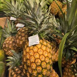 Kauai Sugarloaf pineapple sold here