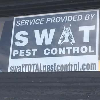 Swat Pest Control - Pest Control Near Me - Chalfont, Pennsylvania