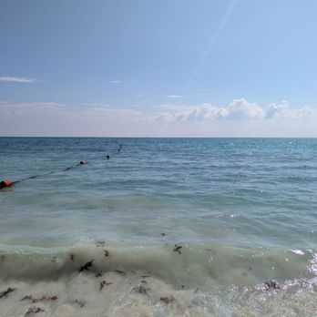 Paradisus La Perla - Seaweed and murky water hides sharp rocks. I don't know why they haven't cleared the few hazardous rocks from the private beach - Resorts Near Me - Playa del Carmen, ROO Paradisus La Perla - Seaweed and murky water hides sharp rocks. I don't know why they haven't cleared the few hazardous rocks from the private beach - Resorts Near Me - Playa del Carmen, ROO